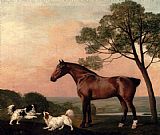 George Stubbs A Bay Hunter With Two Spaniels painting